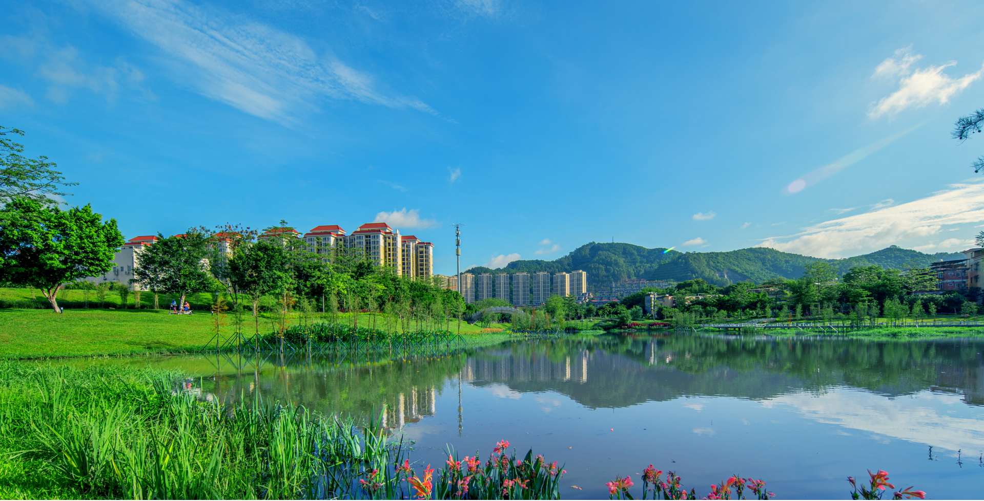 广州市11区河湖长制2020年成绩单公布,黄埔区排名第一